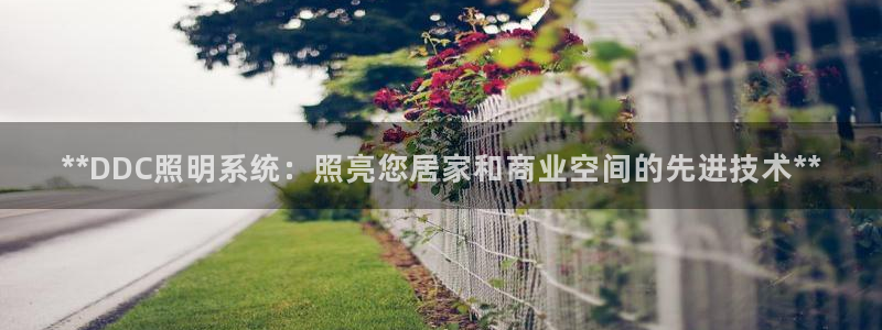 **DDC照明系统:照亮您居家和商业空间的先进技术**