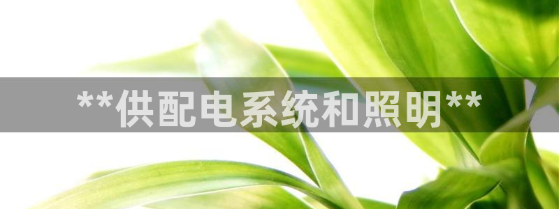 **供配电系统和照明**