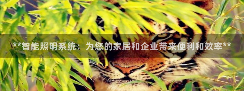 **智能照明系统：为您的家居和企业带来便利和效率**