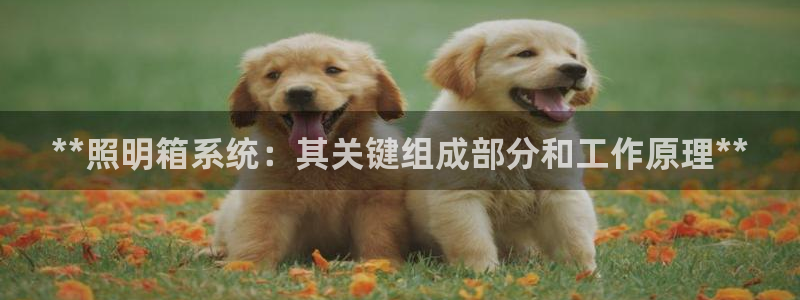 **照明箱系统：其关键组成部分和工作原理**