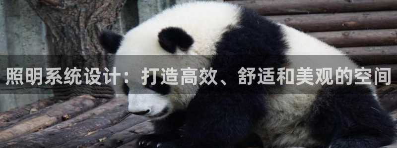 照明系统设计：打造高效、舒适和美观的空间