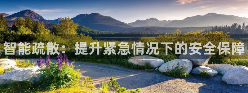 智能疏散：提升紧急情况下的安全保障