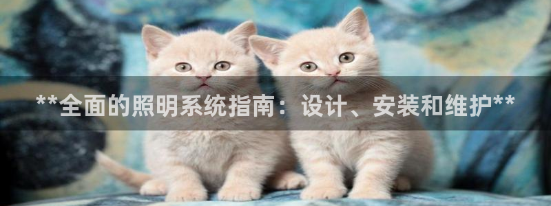 **全面的照明系统指南：设计、安装和维护**