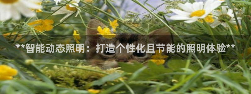 **智能动态照明：打造个性化且节能的照明体验**