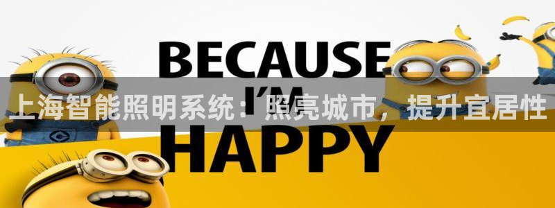 上海智能照明系统：照亮城市，提升宜居性
