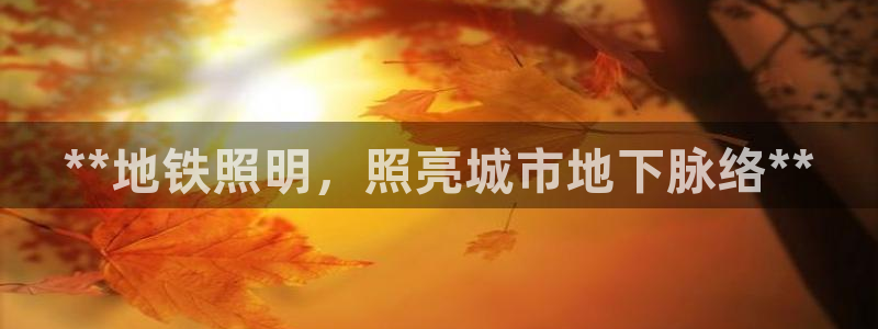 **地铁照明，照亮城市地下脉络**