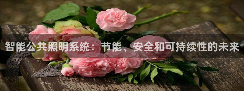 智能公共照明系统：节能、安全和可持续性的未来
