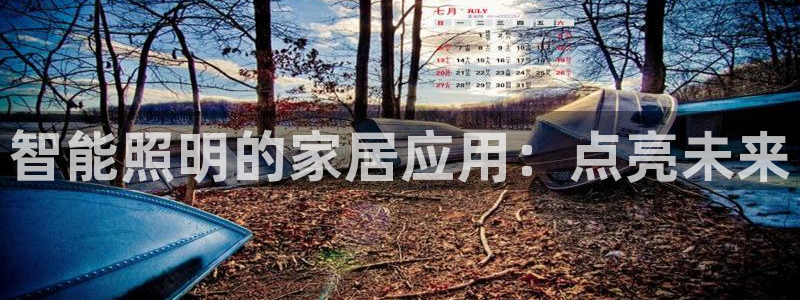 智能照明的家居应用：点亮未来