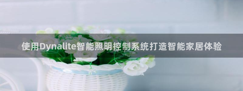 使用Dynalite智能照明控制系统打造智能家居体验