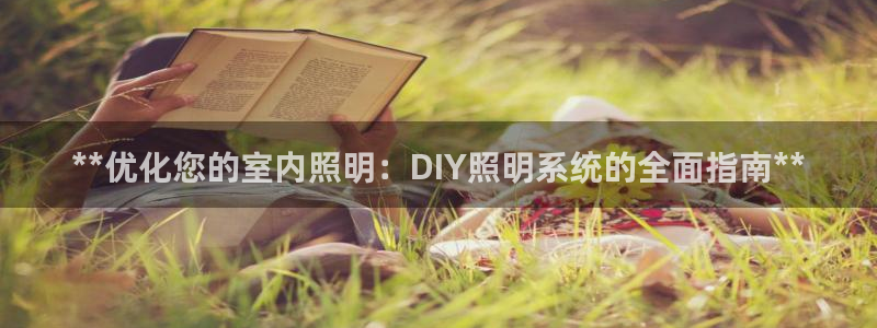 **优化您的室内照明：DIY照明系统的全面指南**