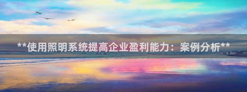 **使用照明系统提高企业盈利能力：案例分析**