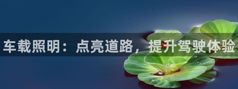 车载照明：点亮道路，提升驾驶体验