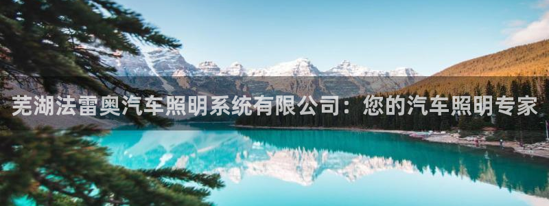 芜湖法雷奥汽车照明系统有限公司:您的汽车照明专家