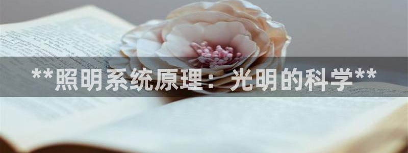 **照明系统原理：光明的科学**