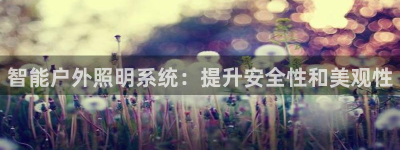 智能户外照明系统：提升安全性和美观性