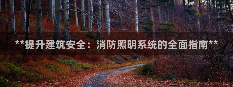 **提升建筑安全：消防照明系统的全面指南**