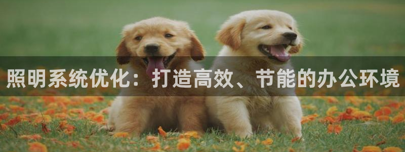 照明系统优化：打造高效、节能的办公环境