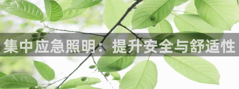 集中应急照明：提升安全与舒适性