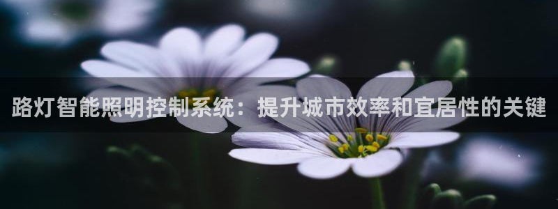 路灯智能照明控制系统:提升城市效率和宜居性的关键