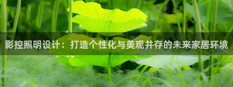 影控照明设计:打造个性化与美观并存的未来家居环境