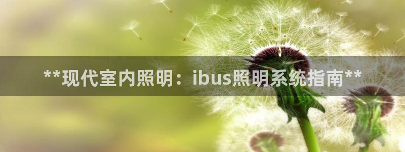 **现代室内照明：ibus照明系统指南**