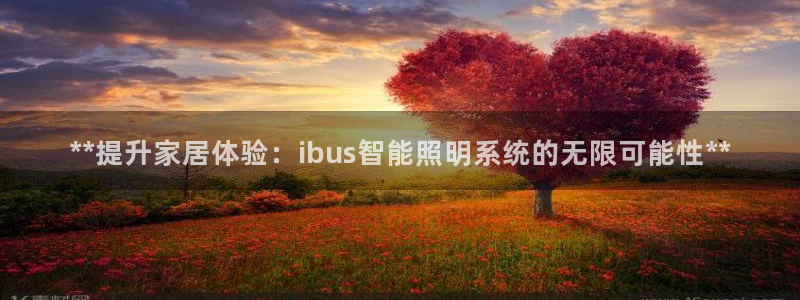 **提升家居体验：ibus智能照明系统的无限可能性**