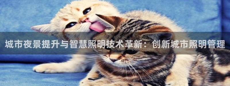 城市夜景提升与智慧照明技术革新:创新城市照明管理