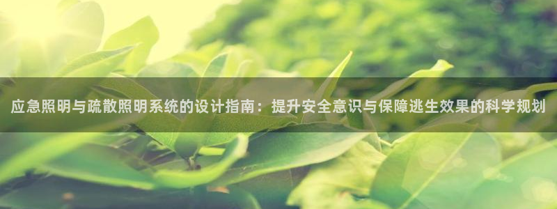 应急照明与疏散照明系统的设计指南:提升安全意识与保障逃生效果的科学规划