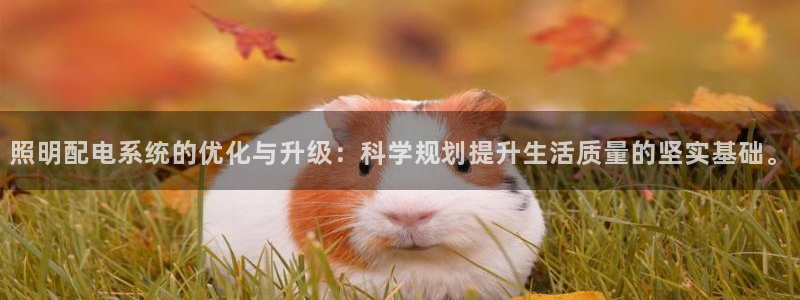 照明配电系统的优化与升级：科学规划提升生