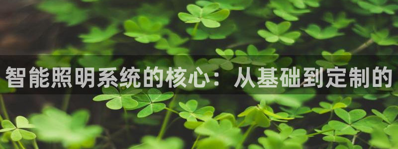 智能照明系统的核心：从基础到定制的