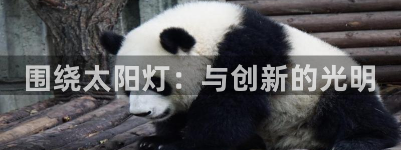 围绕太阳灯：与创新的光明