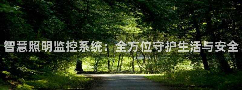 智慧照明监控系统：全方位守护生活与安全