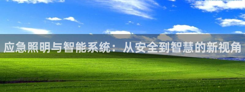 应急照明与智能系统：从安全到智慧的新视角