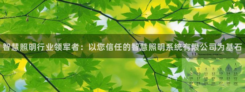 智慧照明行业领军者:以您信任的智慧照明系统有限公司为基石