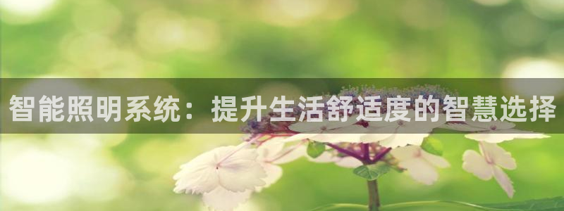 智能照明系统:提升生活舒适度的智慧选择