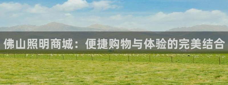 佛山照明商城：便捷购物与体验的完美结合