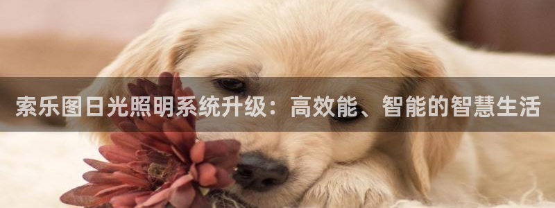 索乐图日光照明系统升级：高效能、智能的智慧生活
