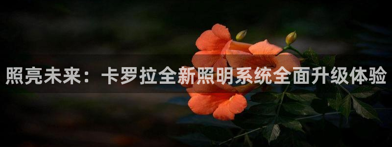 照亮未来:卡罗拉全新照明系统全面升级体验