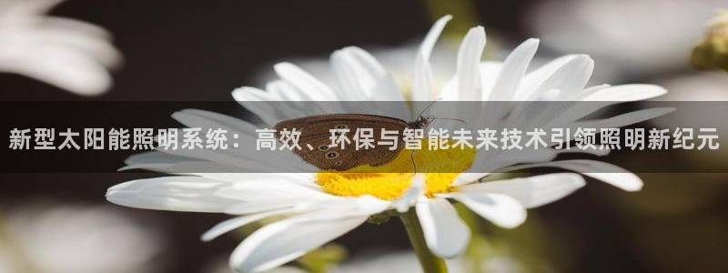 新型太阳能照明系统:高效、环保与智能未来技术引领照明新纪元