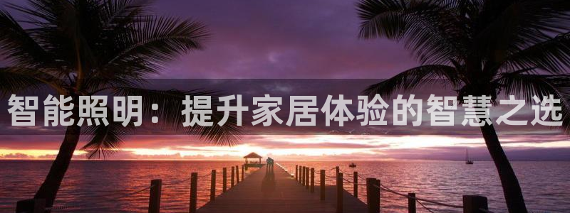 智能照明：提升家居体验的智慧之选