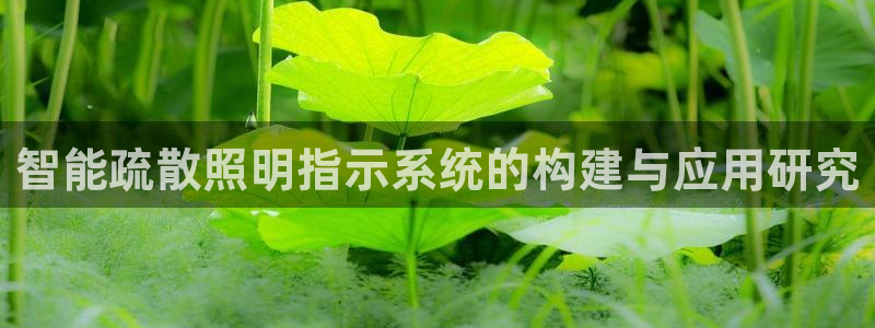 智能疏散照明指示系统的构建与应用研究