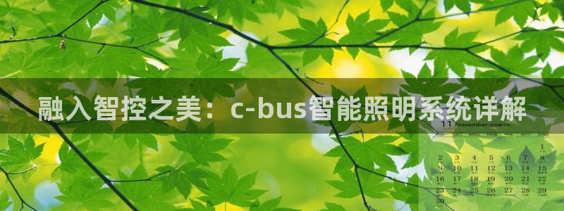 融入智控之美：c-bus智能照明系统详解