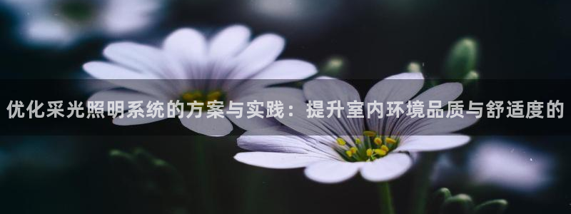 优化采光照明系统的方案与实践：提升室内环境品质与舒适度的