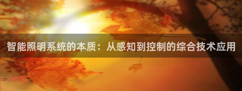 智能照明系统的本质：从感知到控制的综合技