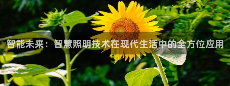 智能未来：智慧照明技术在现代生活中的全方