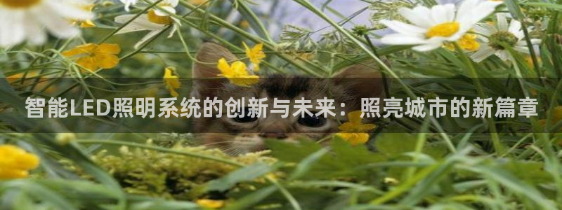 智能LED照明系统的创新与未来：照亮城市
