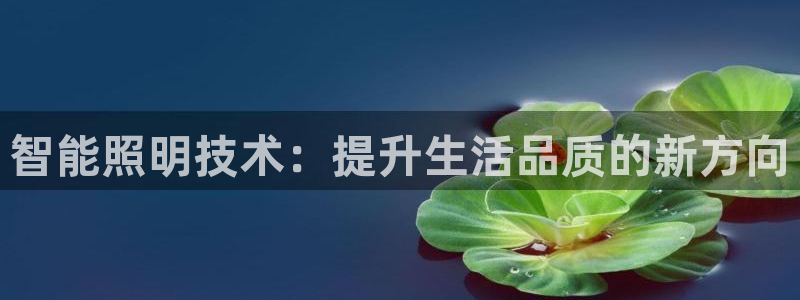 智能照明技术：提升生活品质的新方向