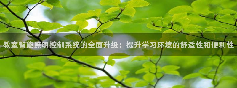教室智能照明控制系统的全面升级：提升学习环境的舒适性和便利性