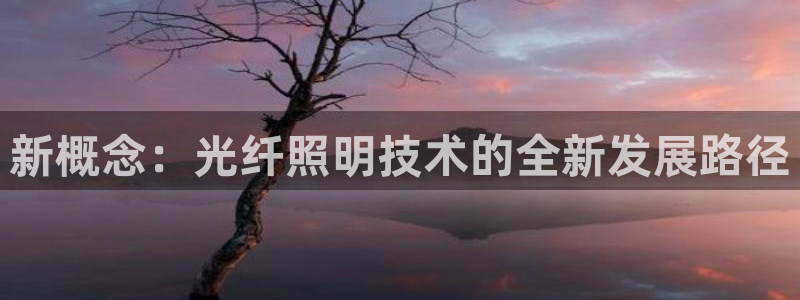新概念：光纤照明技术的全新发展路径