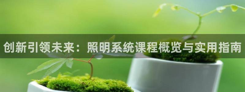 创新引领未来：照明系统课程概览与实用指南